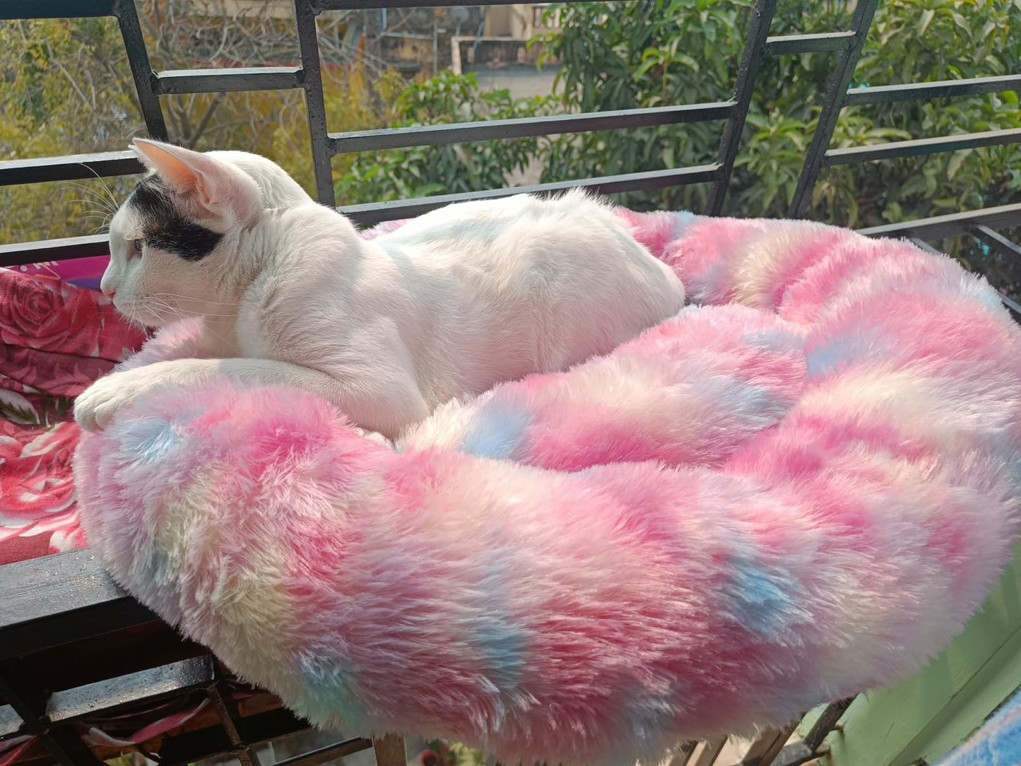 Cozy Donut Pet Bed