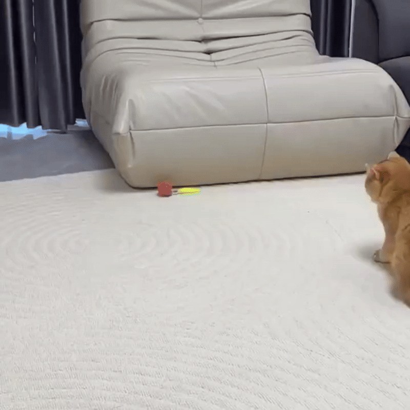 Speedy Tail 2.0 Smart Toy