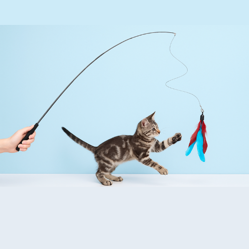 Interactive Cat Feather Toy with Bell & Steel Wire – Fun Indoor Play & Exercise for Kittens & Cats (Pack of 1)
