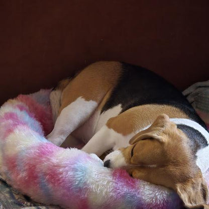 Cozy Donut Pet Bed