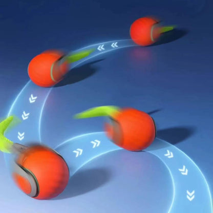 Speedy Tail 2.0 Smart Toy