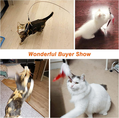 Interactive Cat Feather Toy with Bell & Steel Wire – Fun Indoor Play & Exercise for Kittens & Cats (Pack of 1)